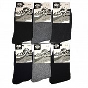 BFL ����� ������������ ������ ����� ����������